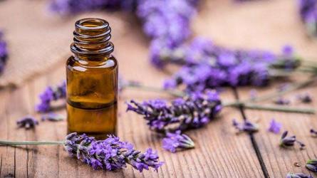 Butterfly Dawn Aromatherapy