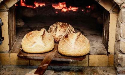 Bread 41