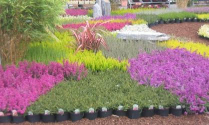 Doran Nurseries