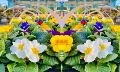 Newlands Garden Centre