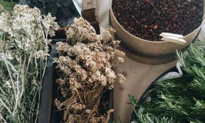 Warrior Botanicals