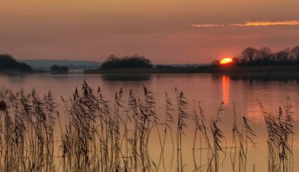 Lough Ree Distillery