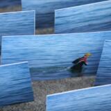 Doreen Kennedy Artist