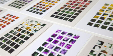 Doreen Kennedy Artist