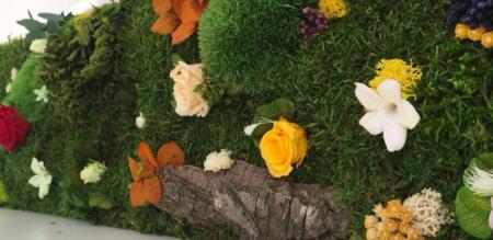 Ninfa Studio