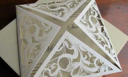 Wild Paper Designs