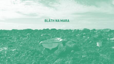 Bláth na Mara